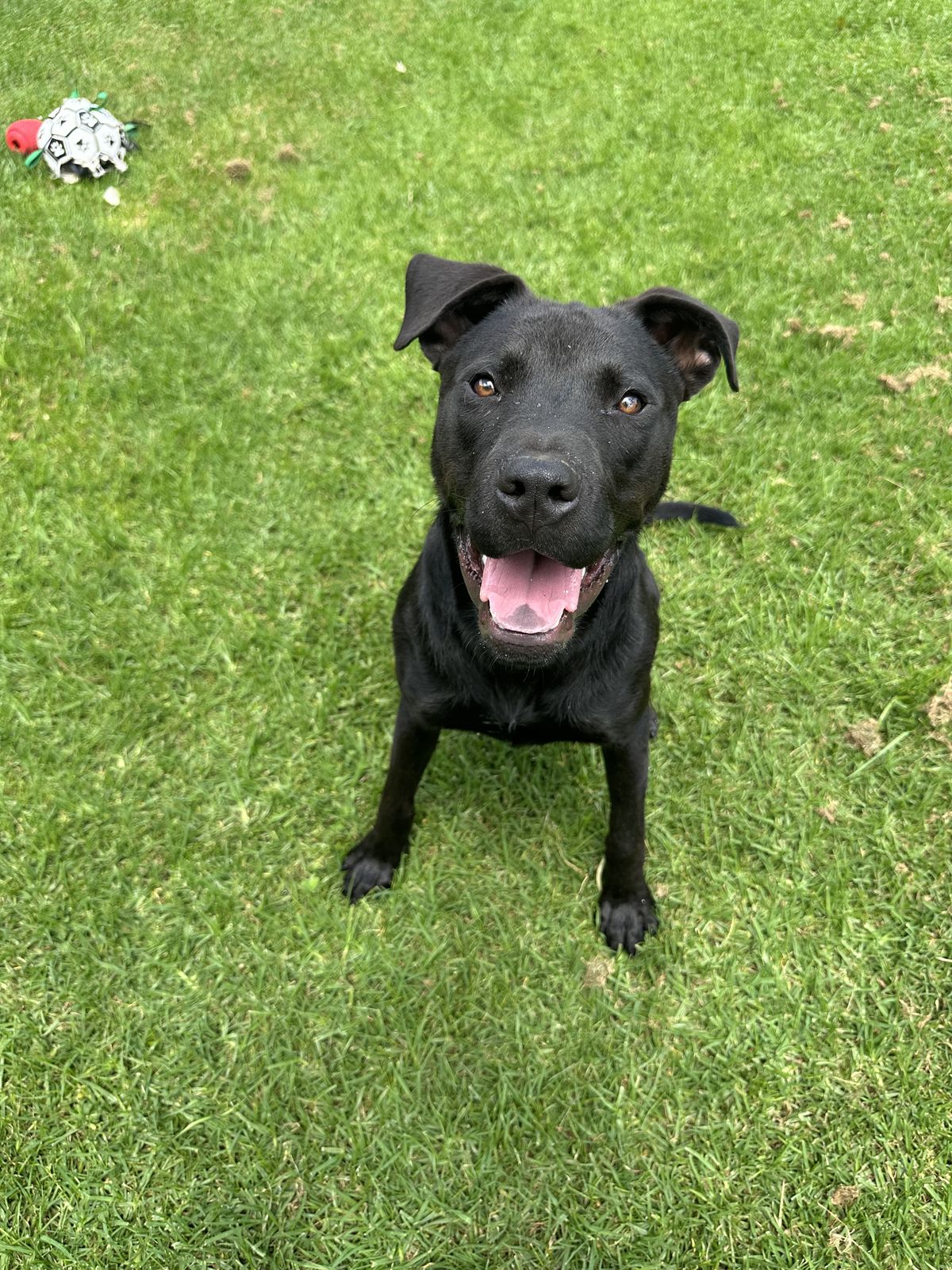 Gallery image: Carlos