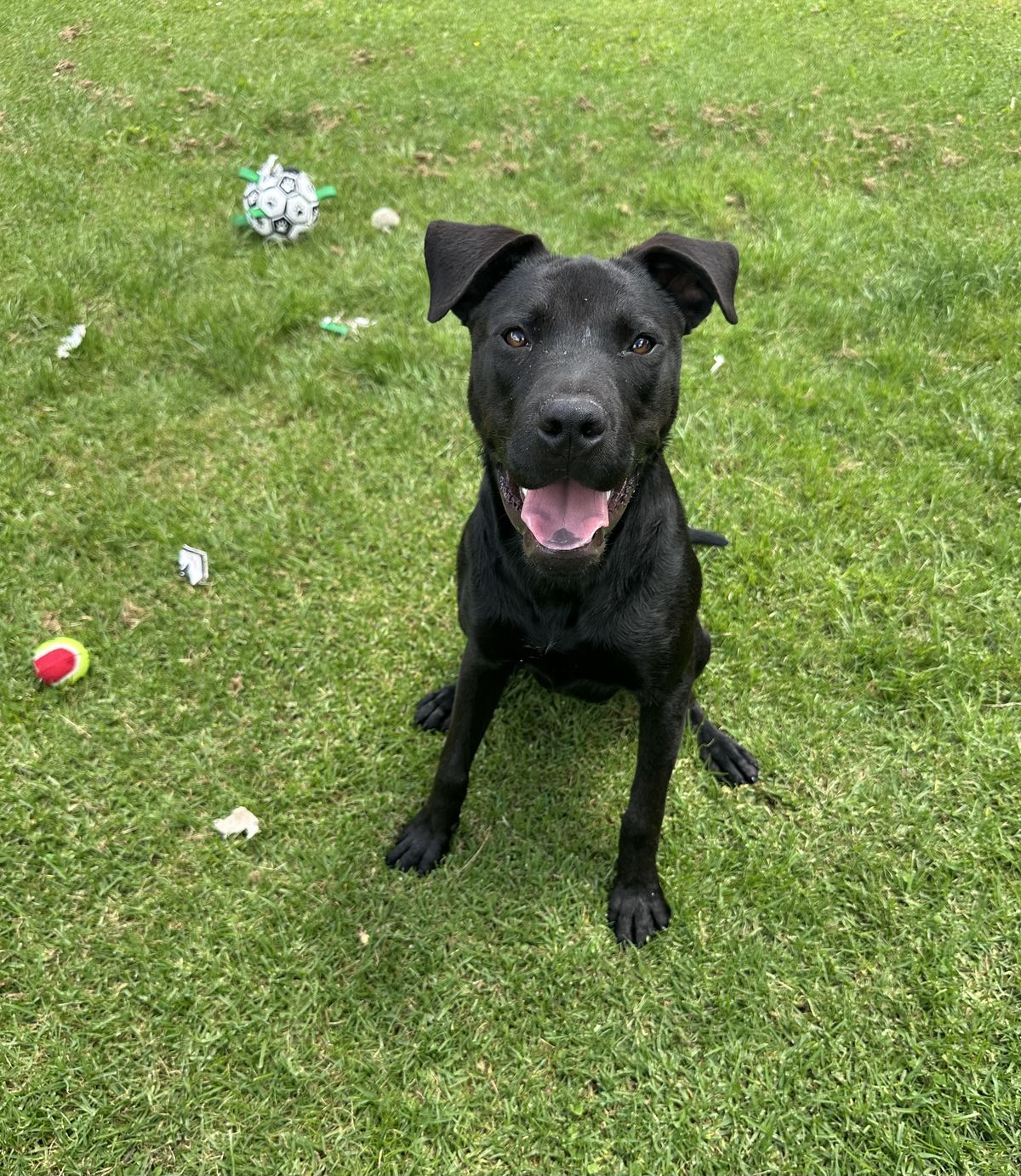 Gallery image: Carlos