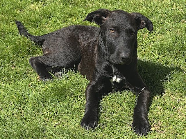 Gallery image: Maggie