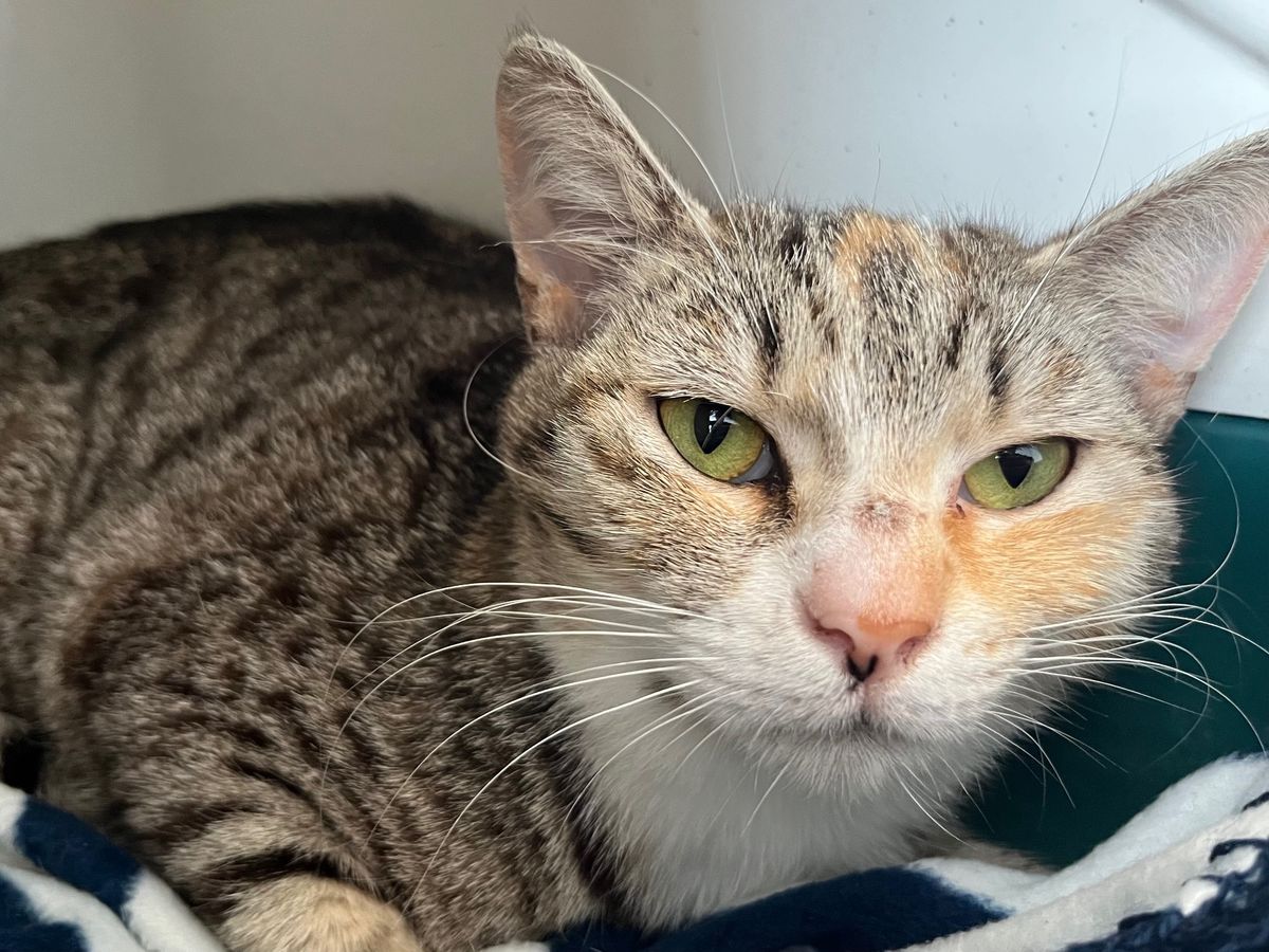 Gallery image: Harmony