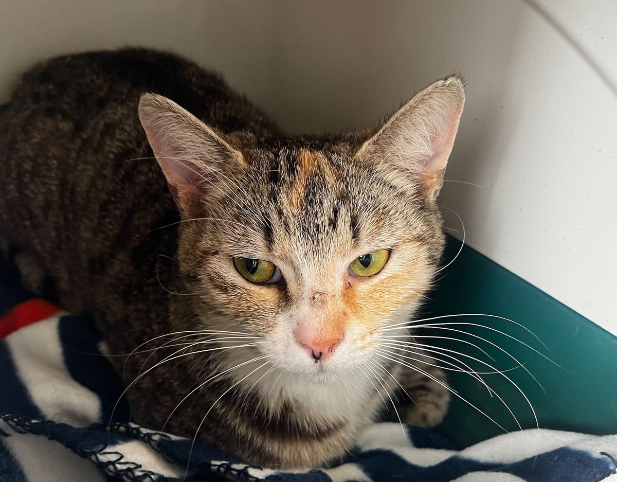 Gallery image: Harmony