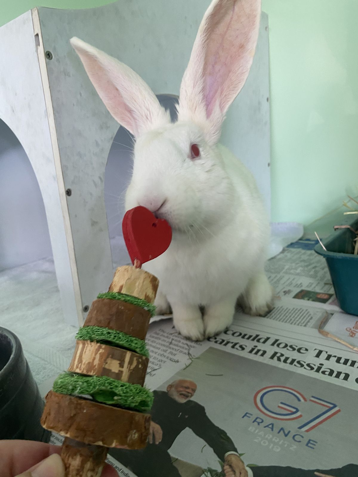 Gallery image: Serenity