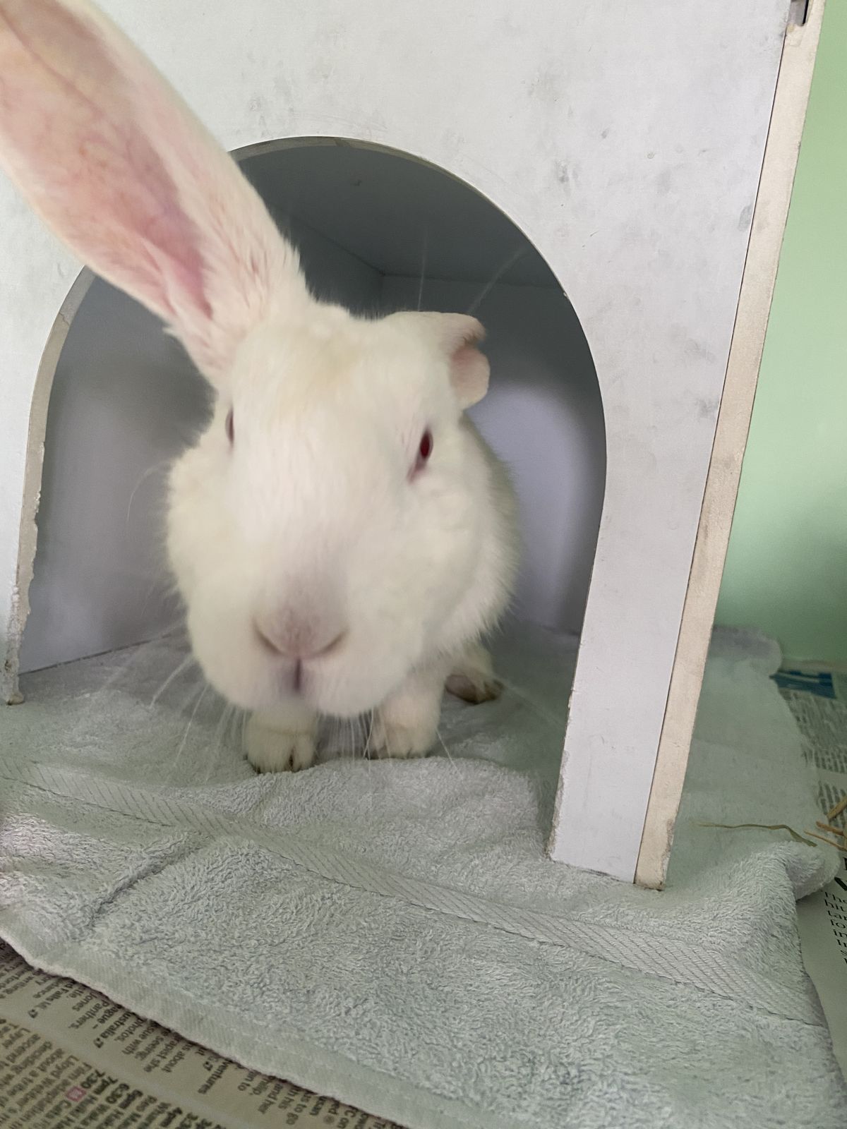 Gallery image: Serenity