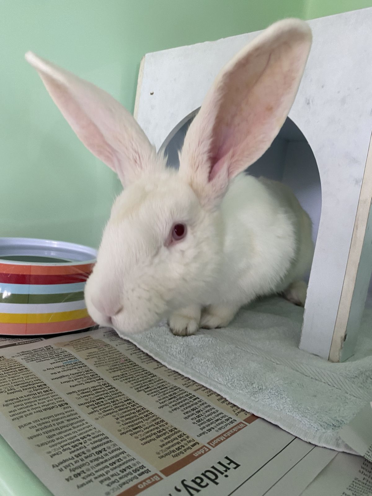 Gallery image: Serenity