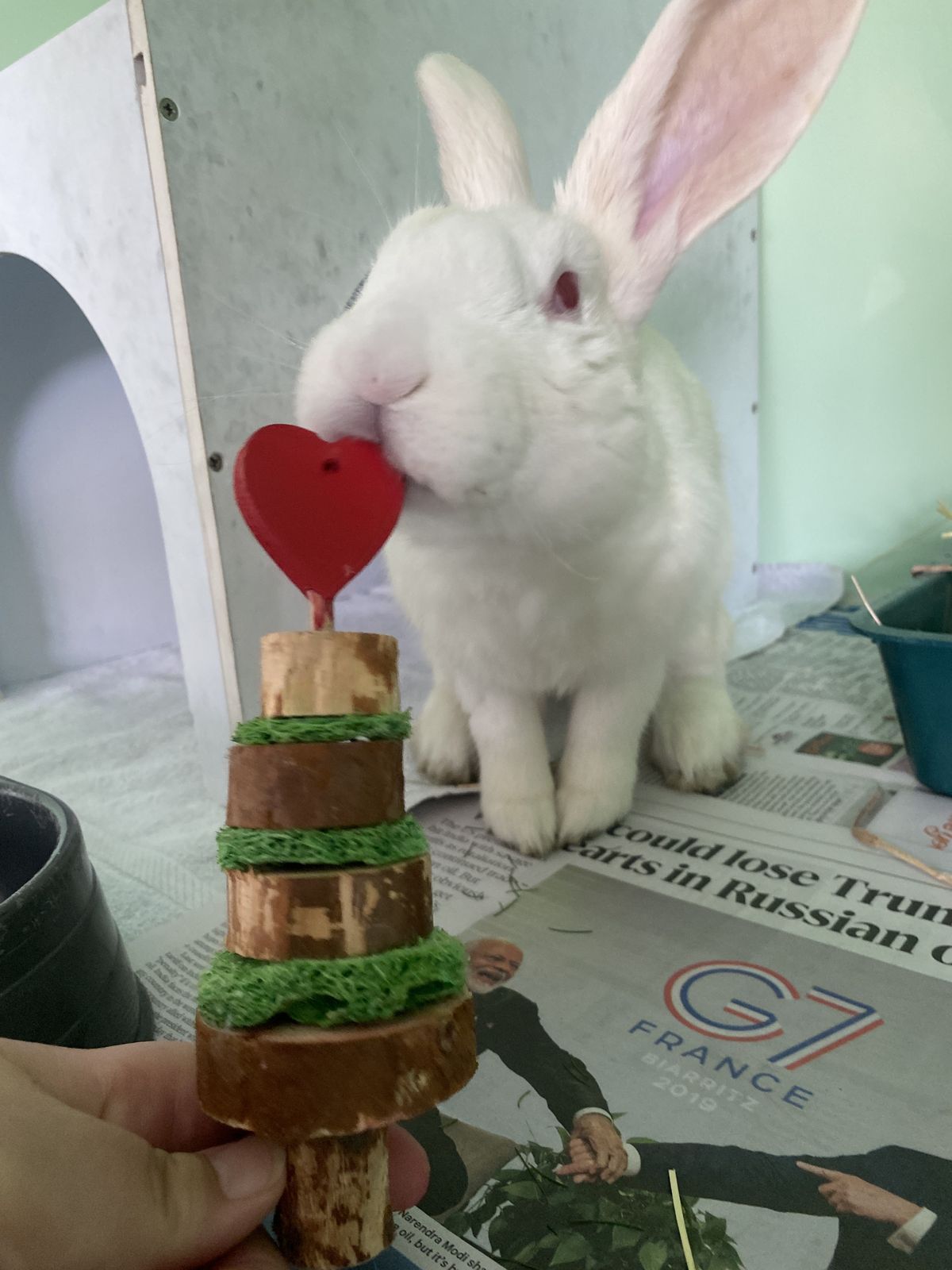 Gallery image: Serenity