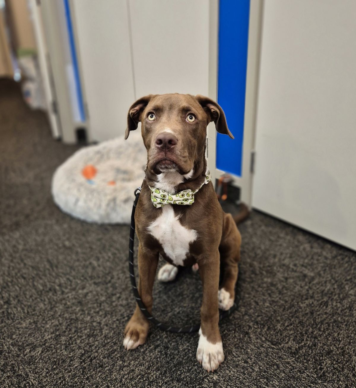 Gallery image: Rocky