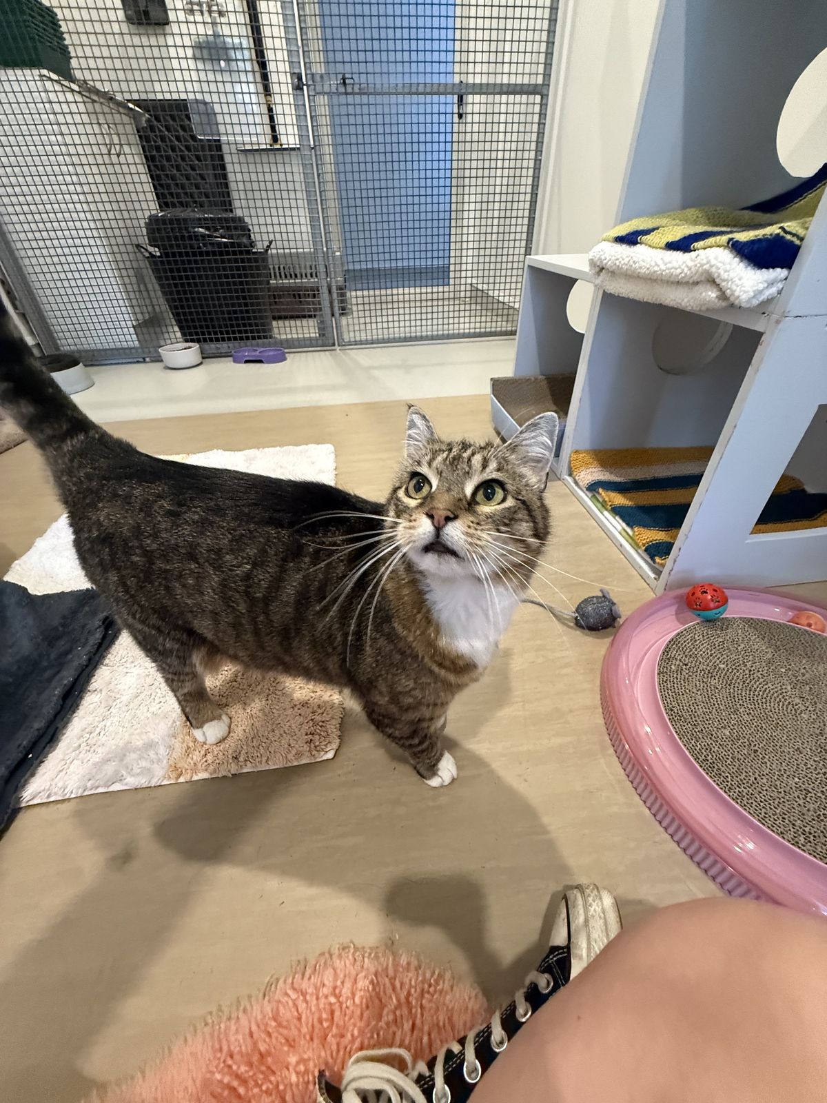 Gallery image: Charlie