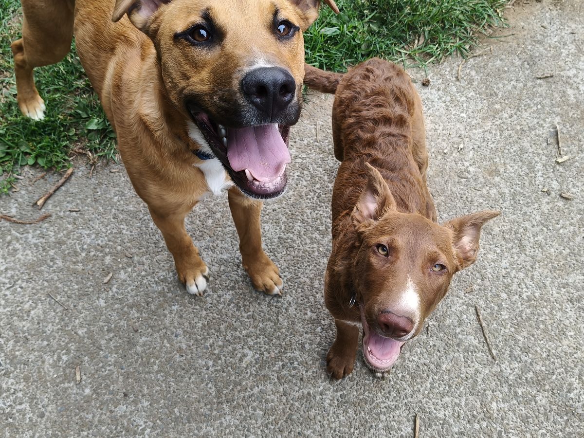 Gallery image: Selma