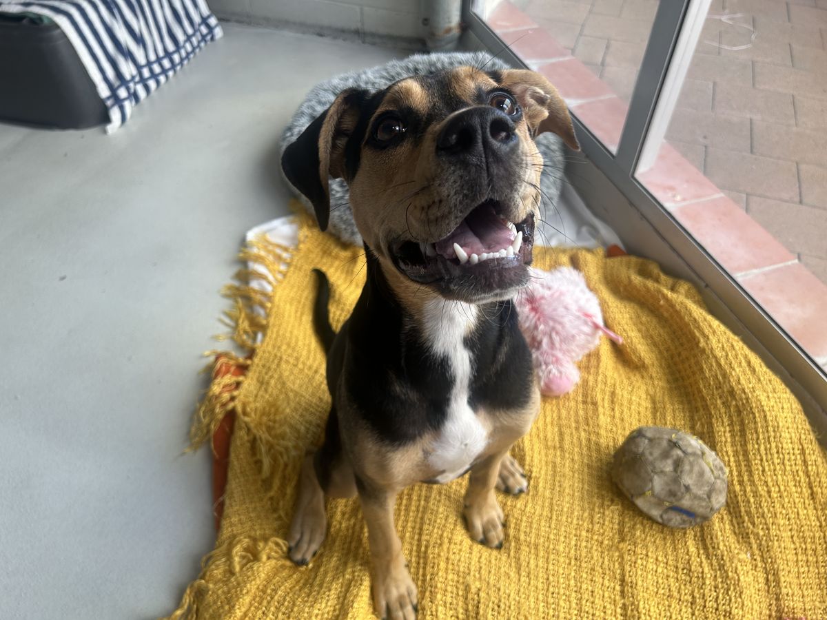 Gallery image: MacKenzie