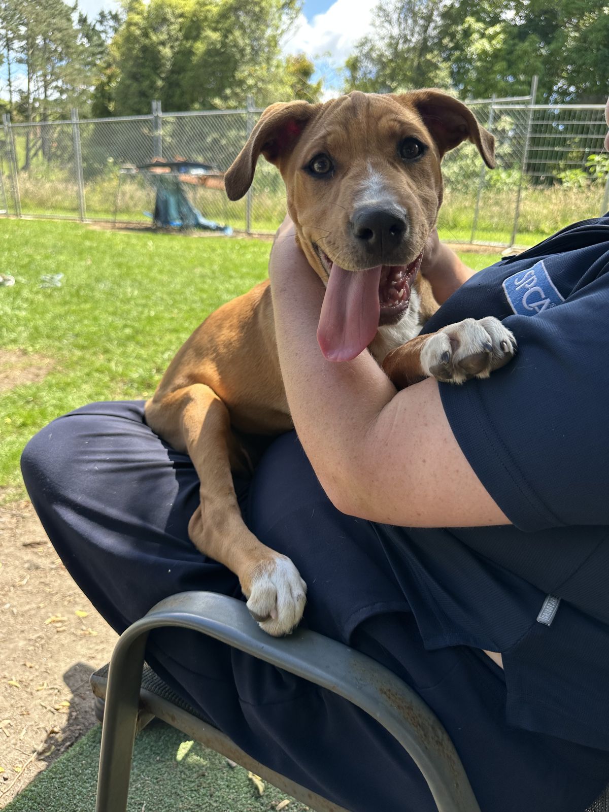 Gallery image: Grape