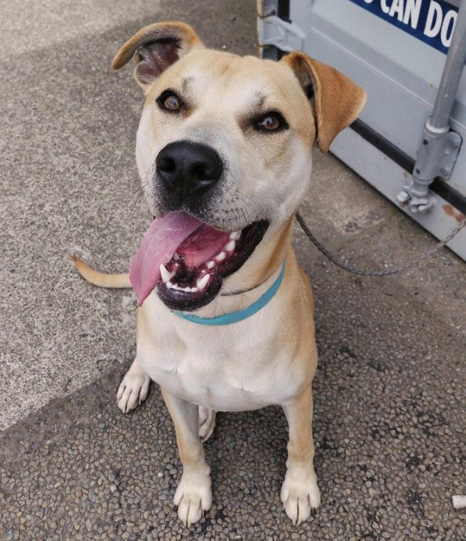 Gallery image: Charlie Brown