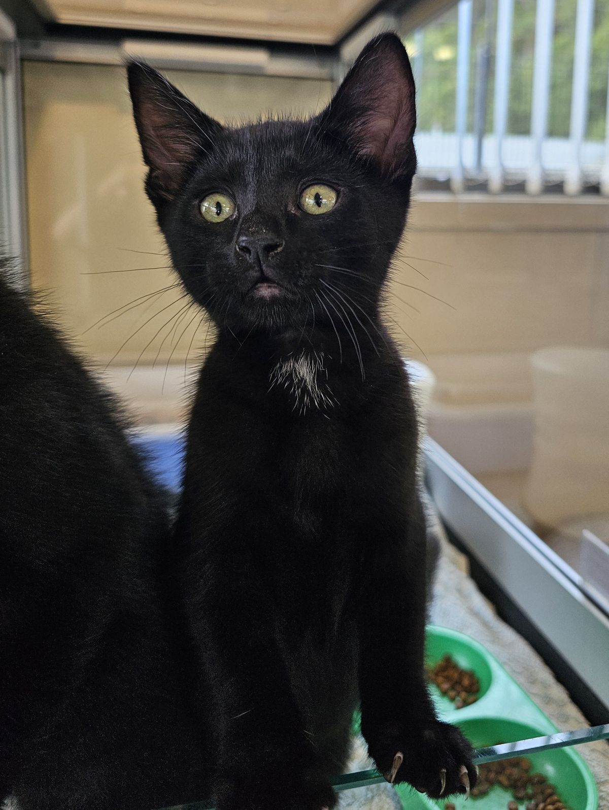 Gallery image: Hades