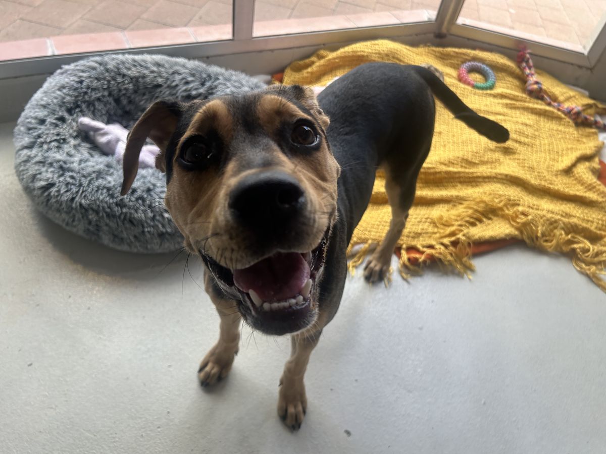 Gallery image: MacKenzie