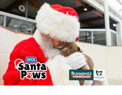 Santa Paws Nelson