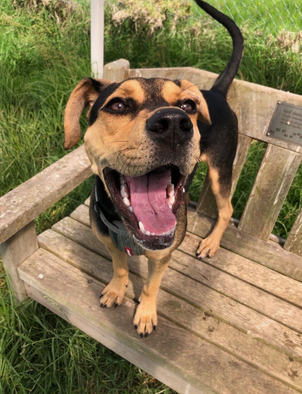 Gallery image: MacKenzie