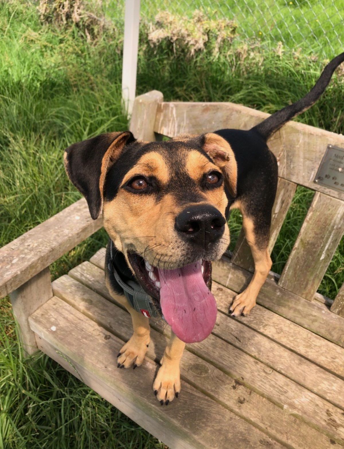 Gallery image: MacKenzie