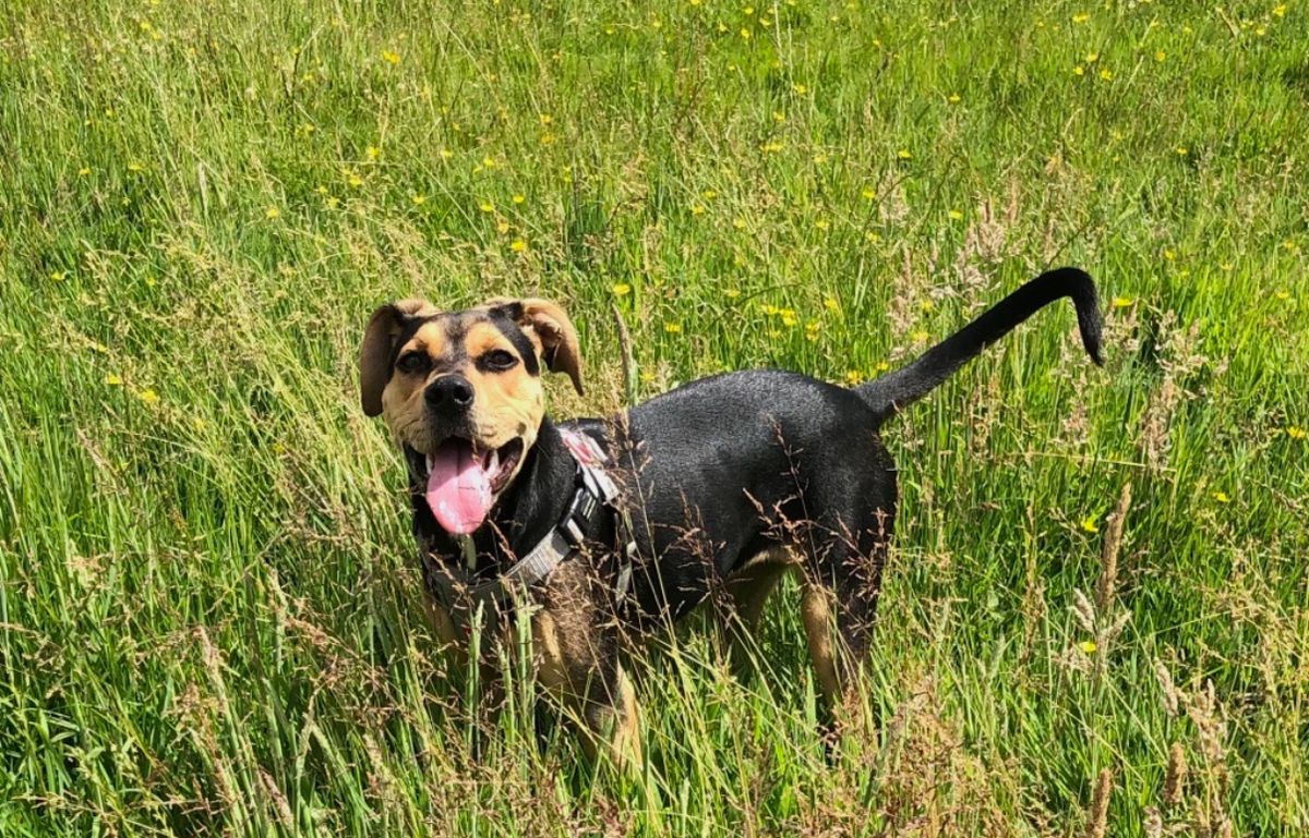 Gallery image: MacKenzie