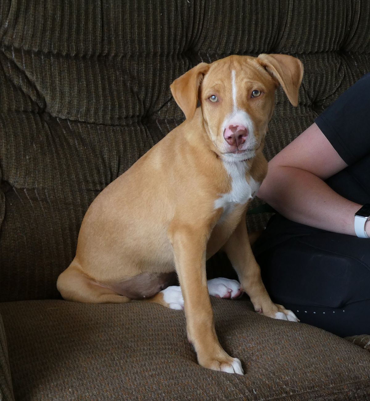 Gallery image: Blaze