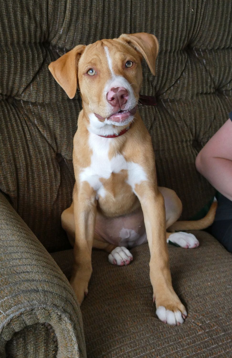 Gallery image: Blaze