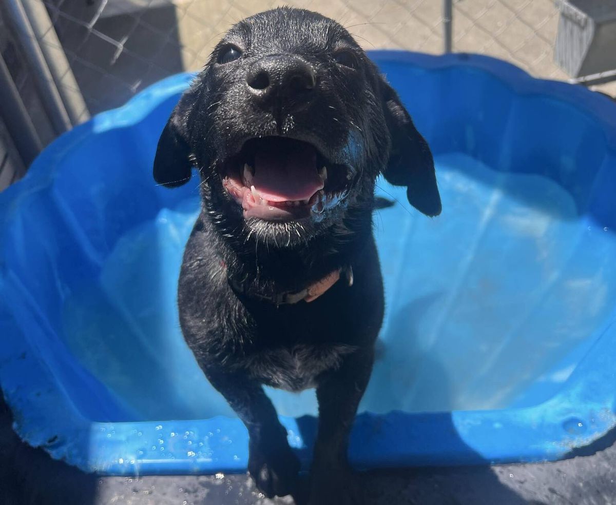 Gallery image: Crumpet