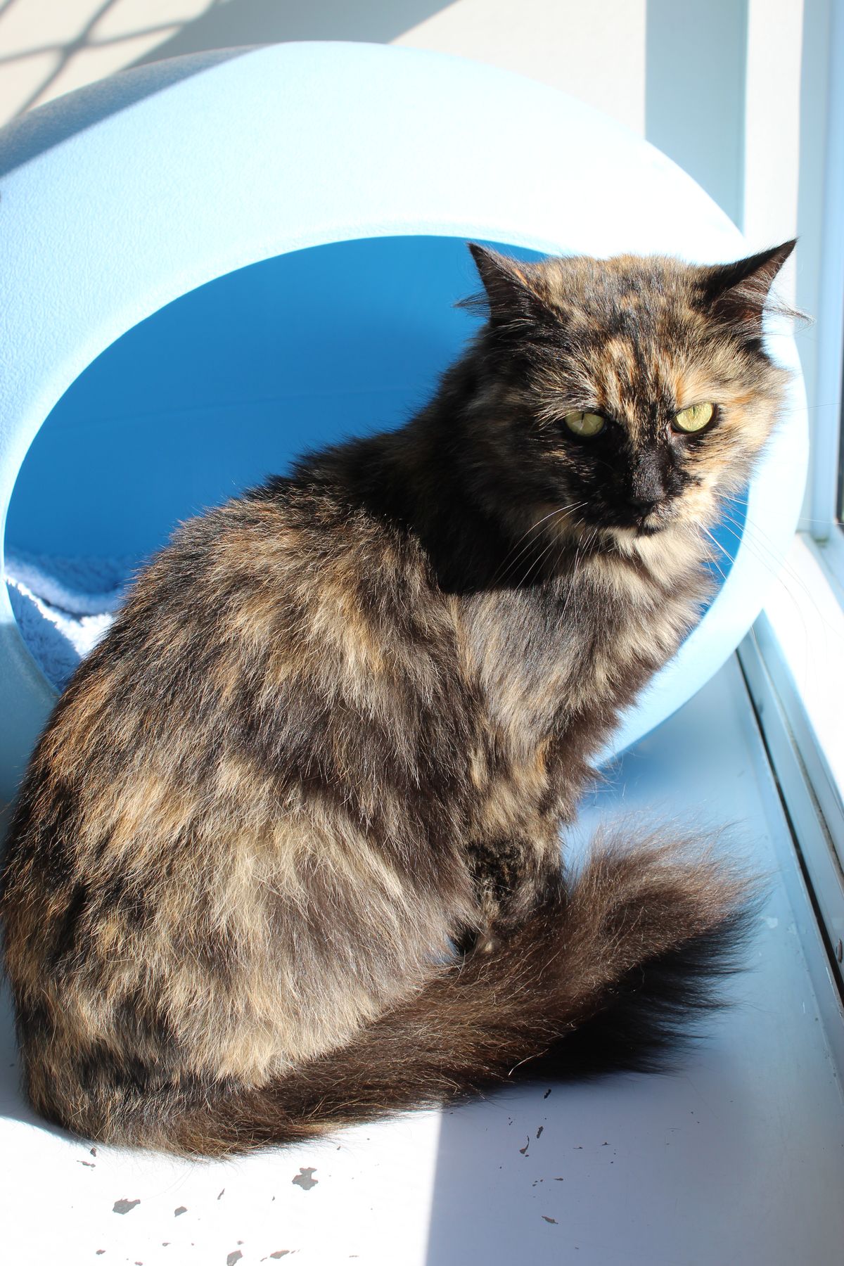 Gallery image: Bindy