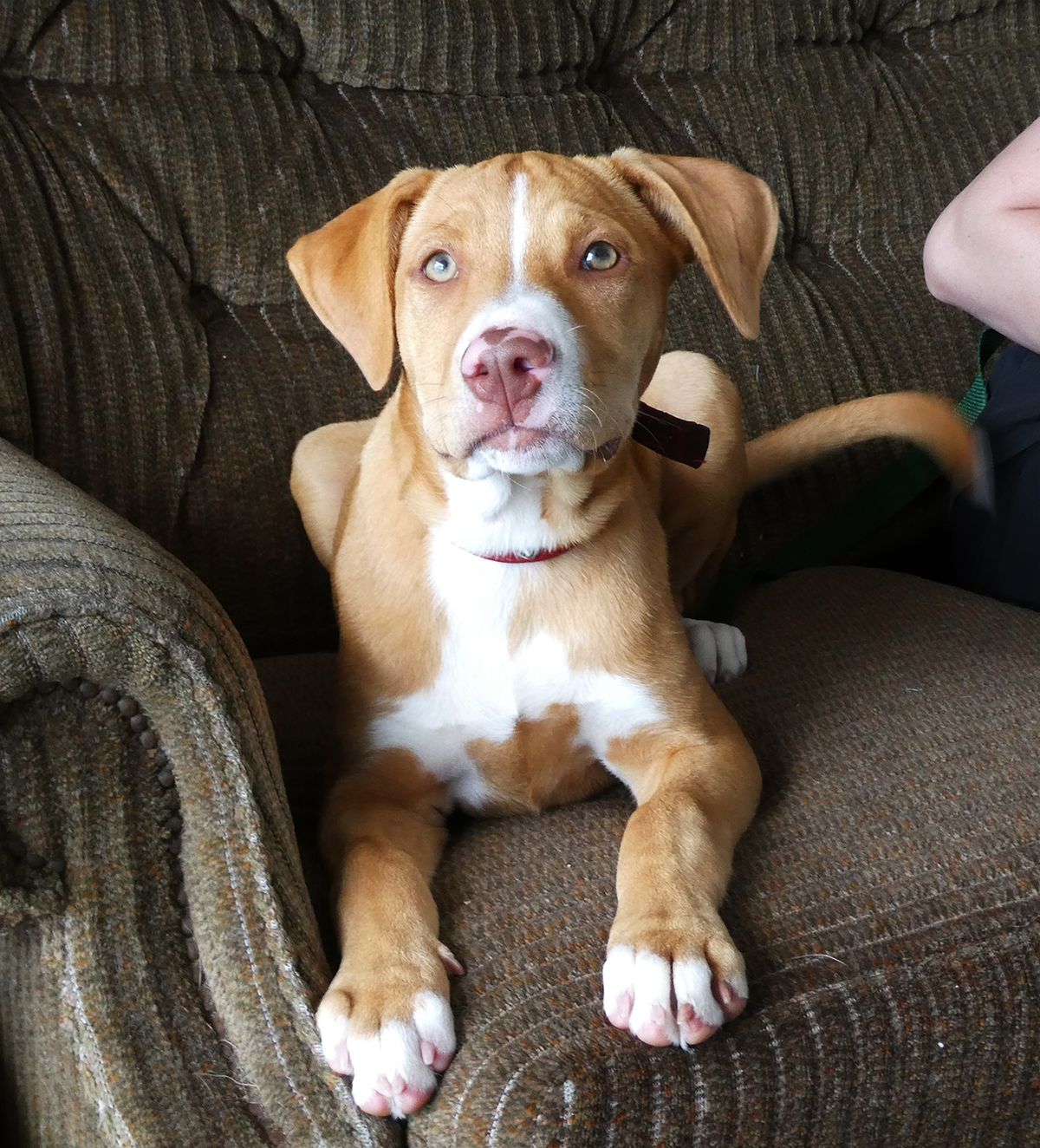 Gallery image: Blaze