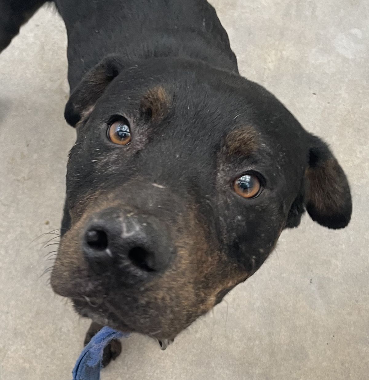 Gallery image: Rocky