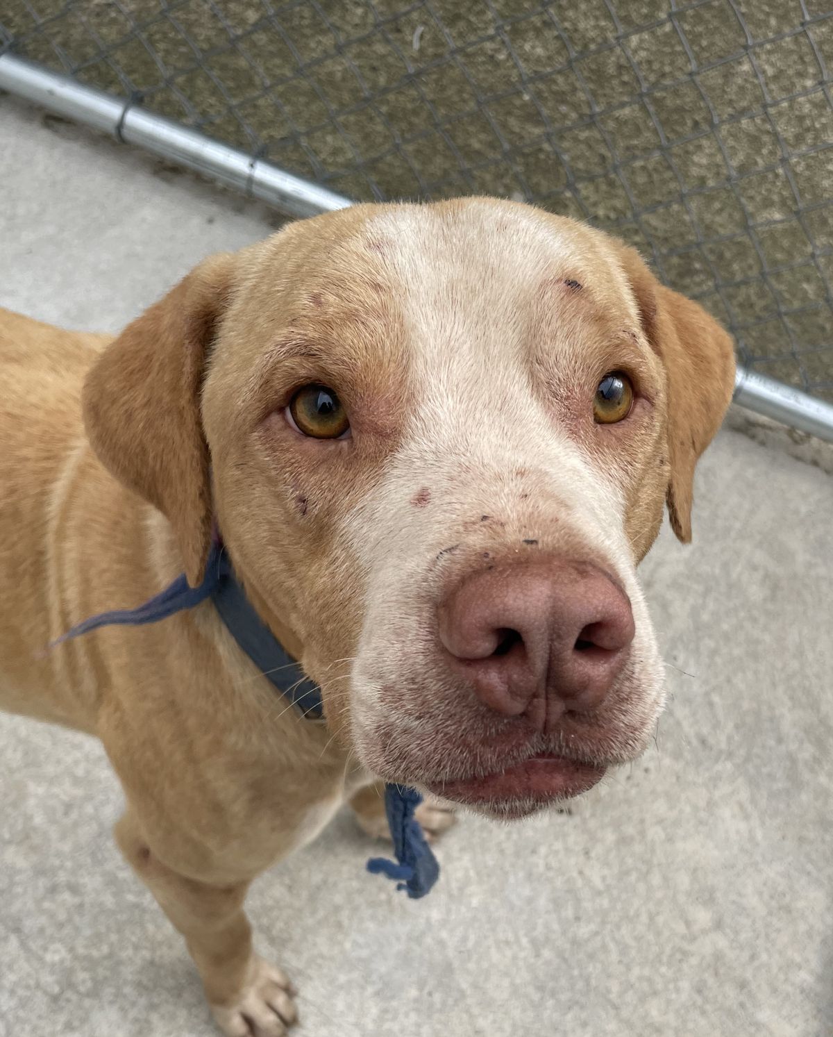 Gallery image: Sonny