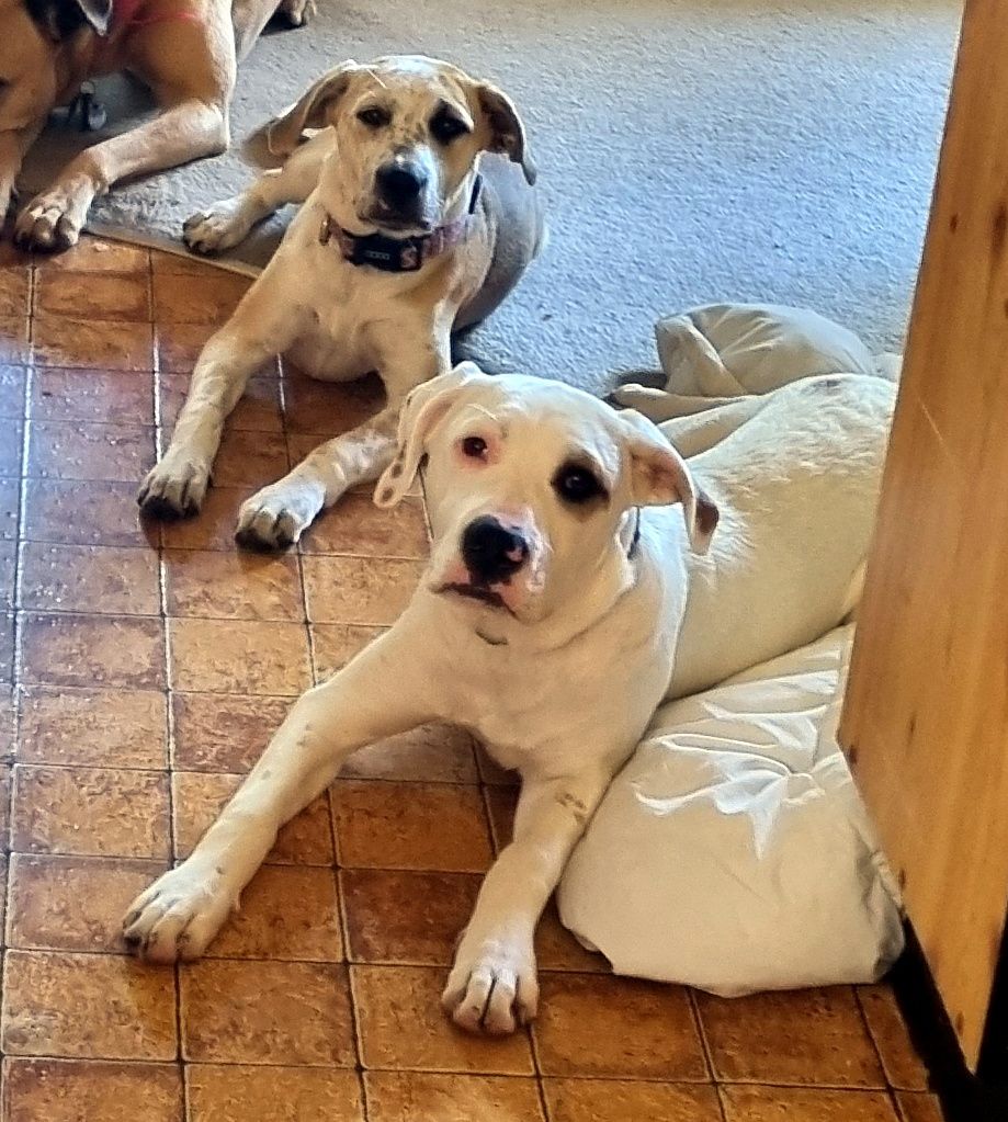 Gallery image: Wesley