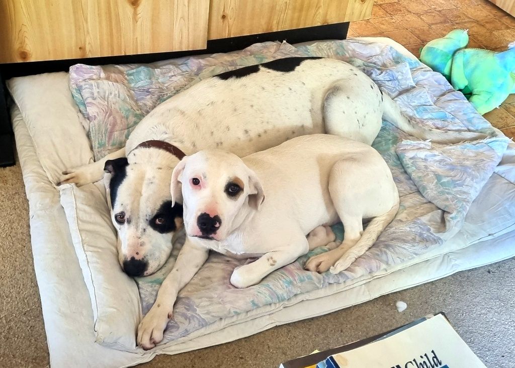 Gallery image: Wesley