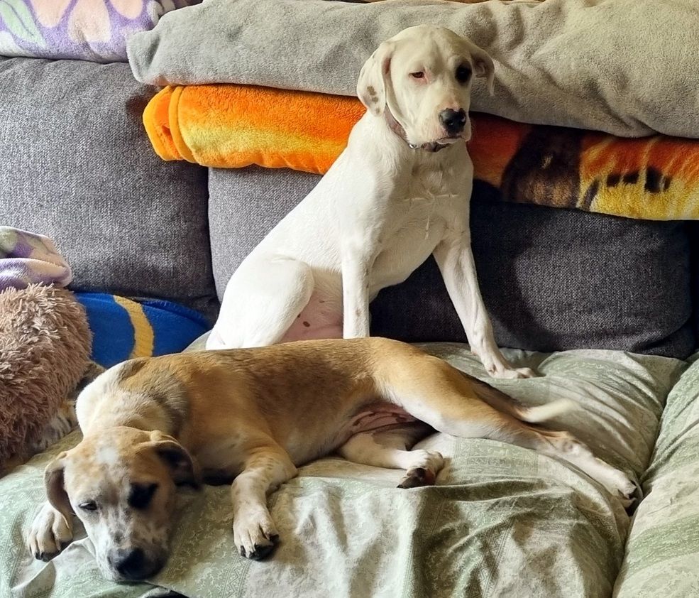 Gallery image: Wesley