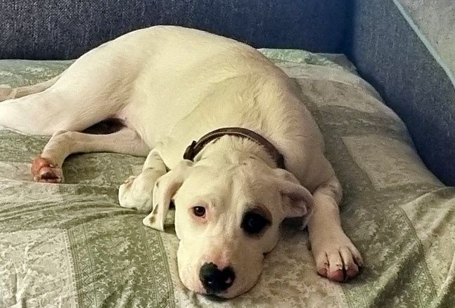 Gallery image: Wesley