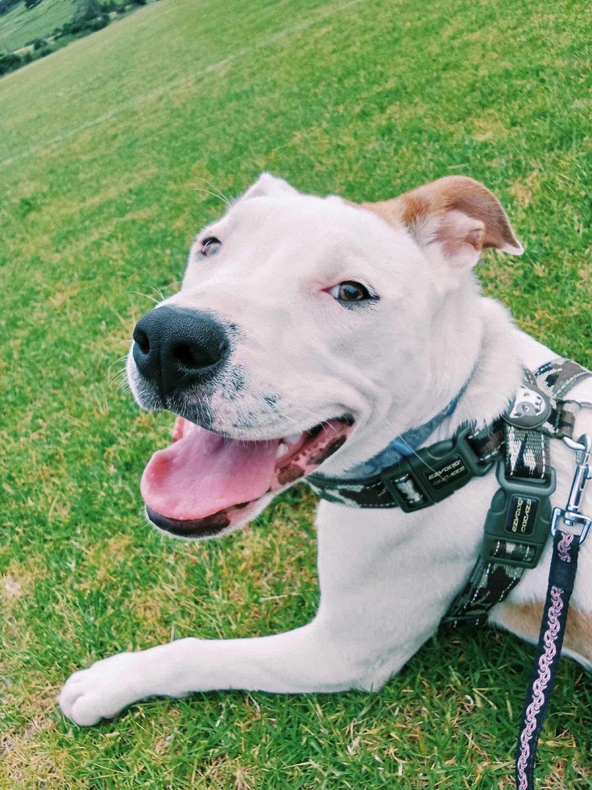 Gallery image: Storm