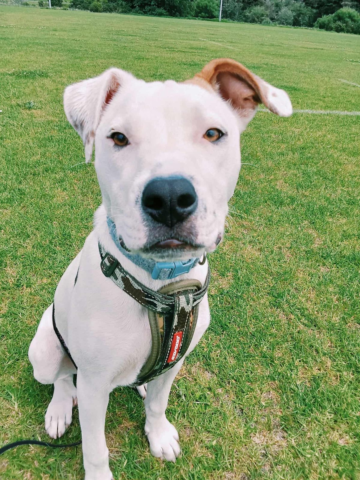 Gallery image: Storm