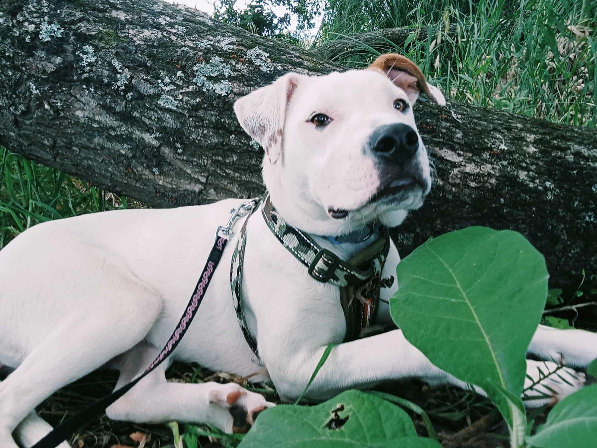 Gallery image: Storm