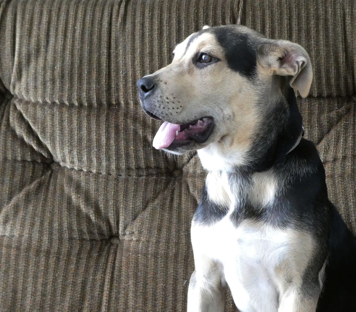 Gallery image: Maisie