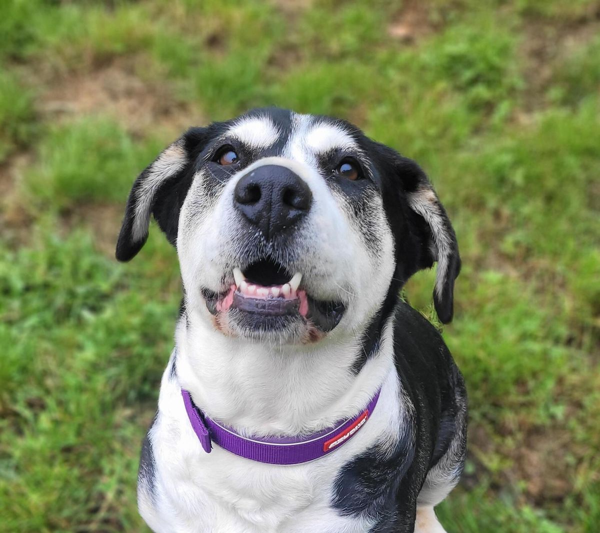 Gallery image: Mildred