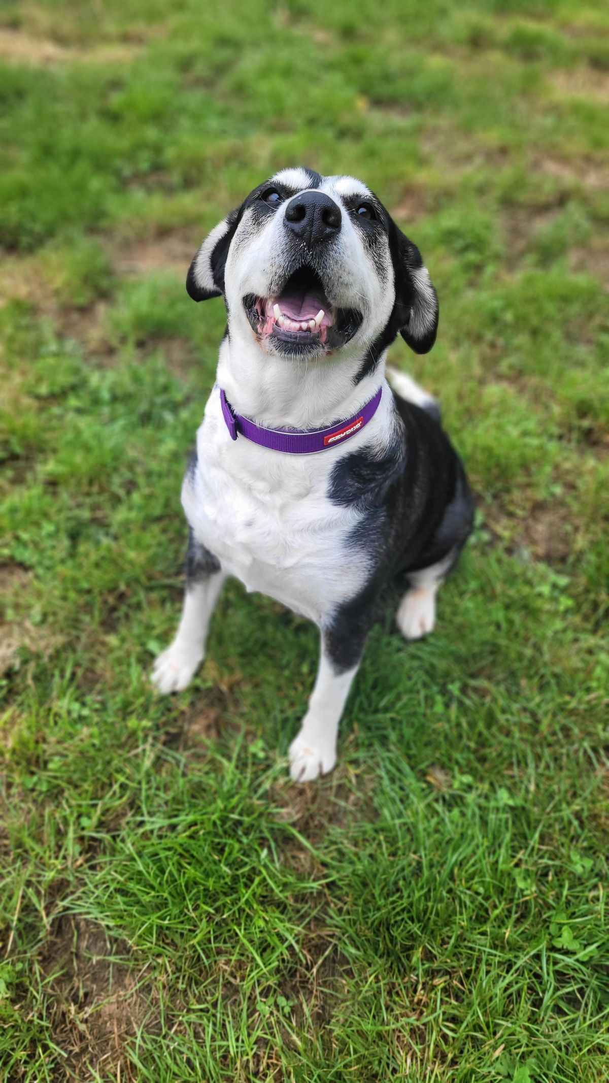 Gallery image: Mildred