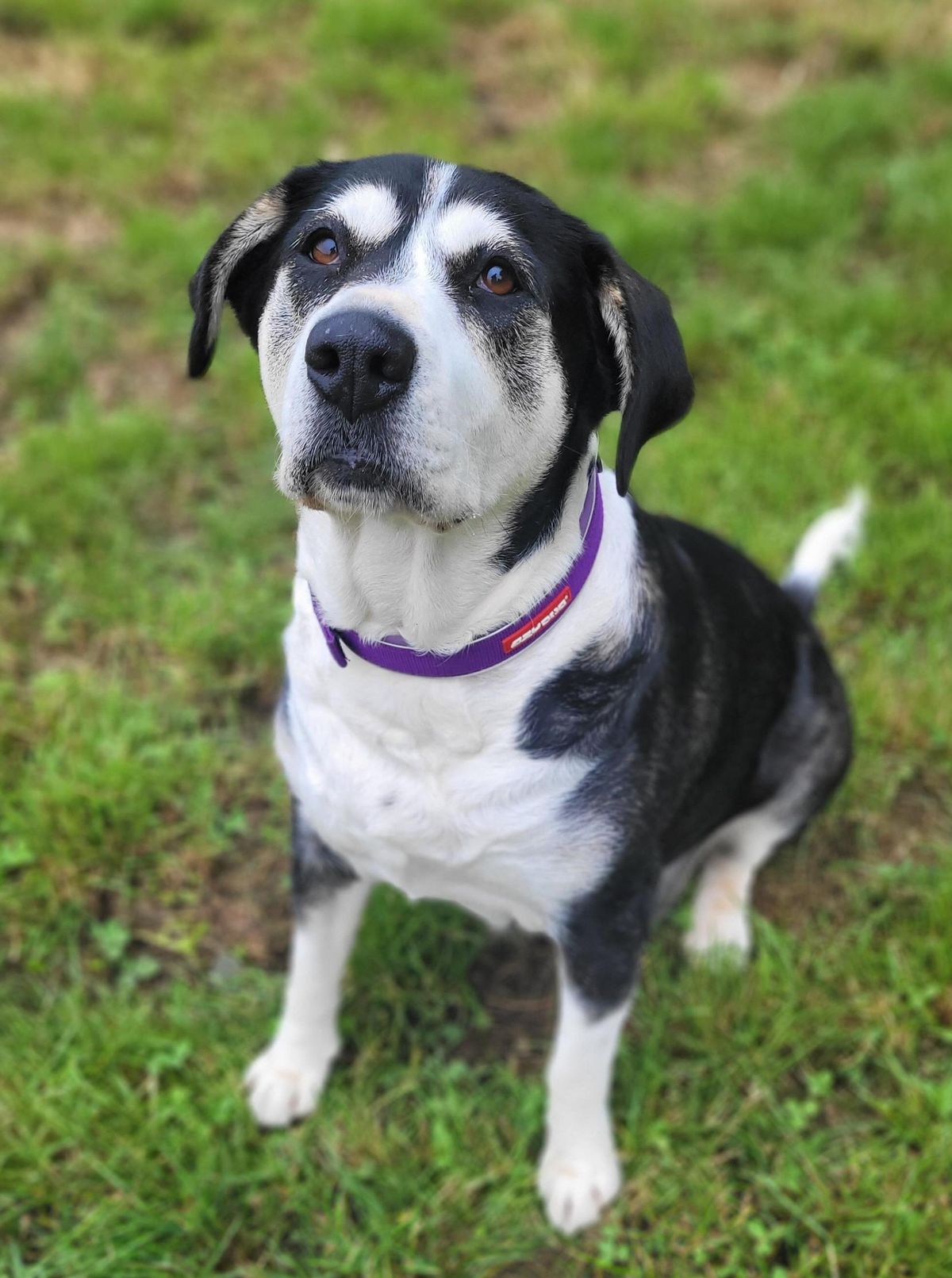 Gallery image: Mildred