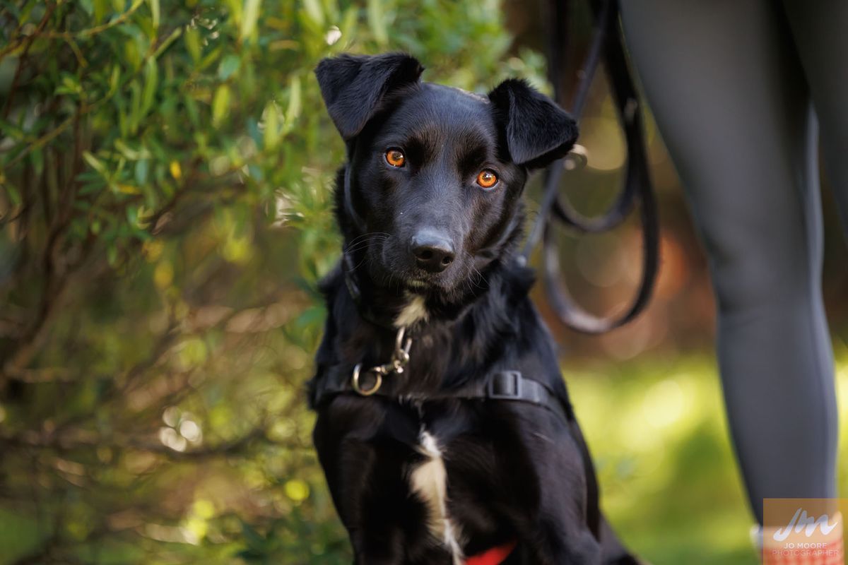 Gallery image: Lucky