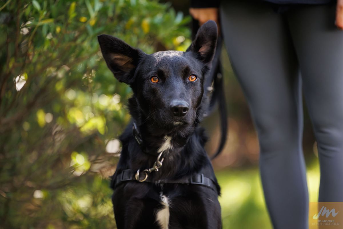 Gallery image: Lucky