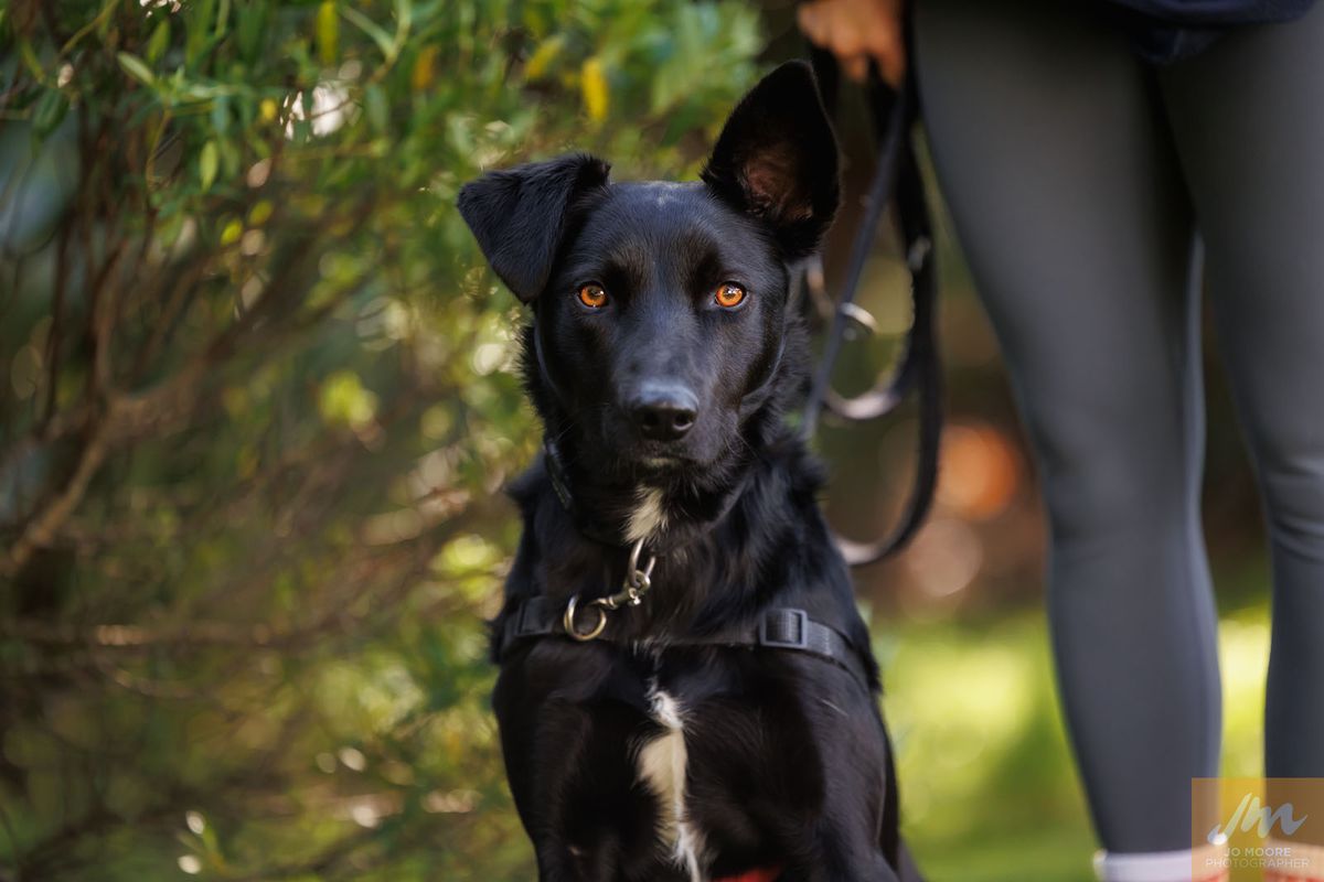 Gallery image: Lucky