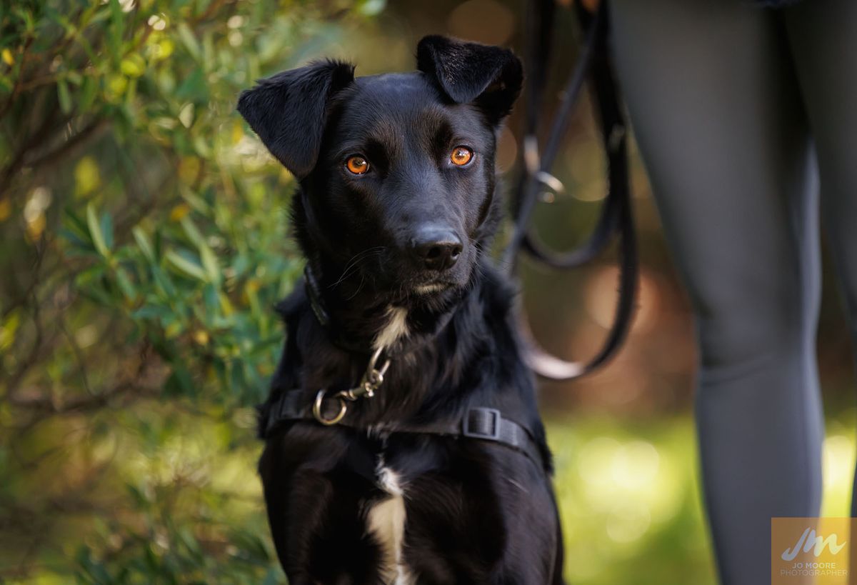 Gallery image: Lucky