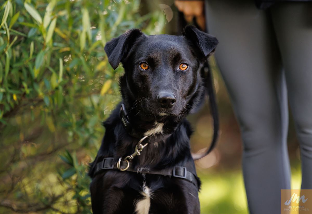 Gallery image: Lucky