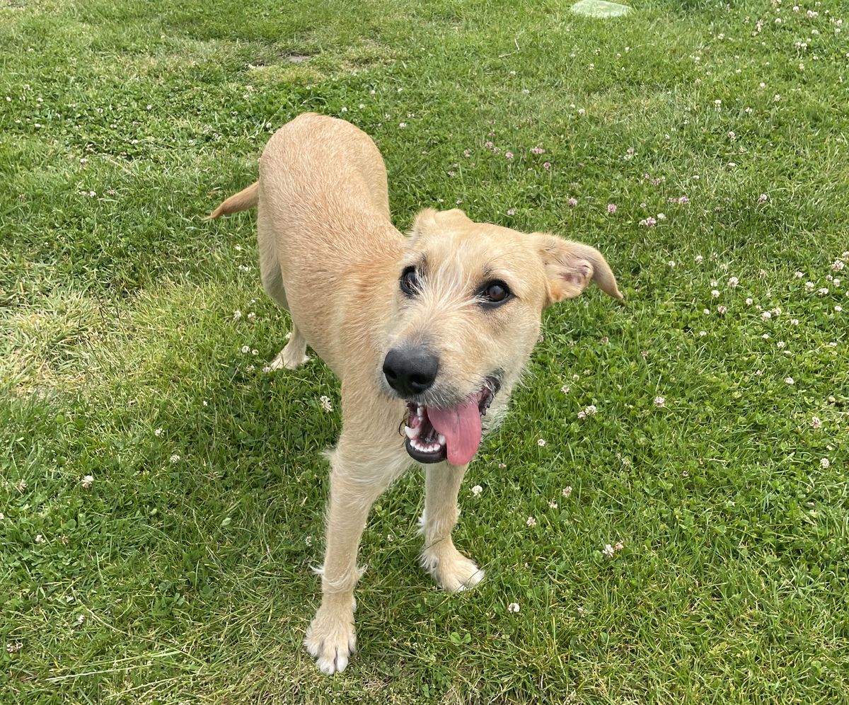 Gallery image: Annie