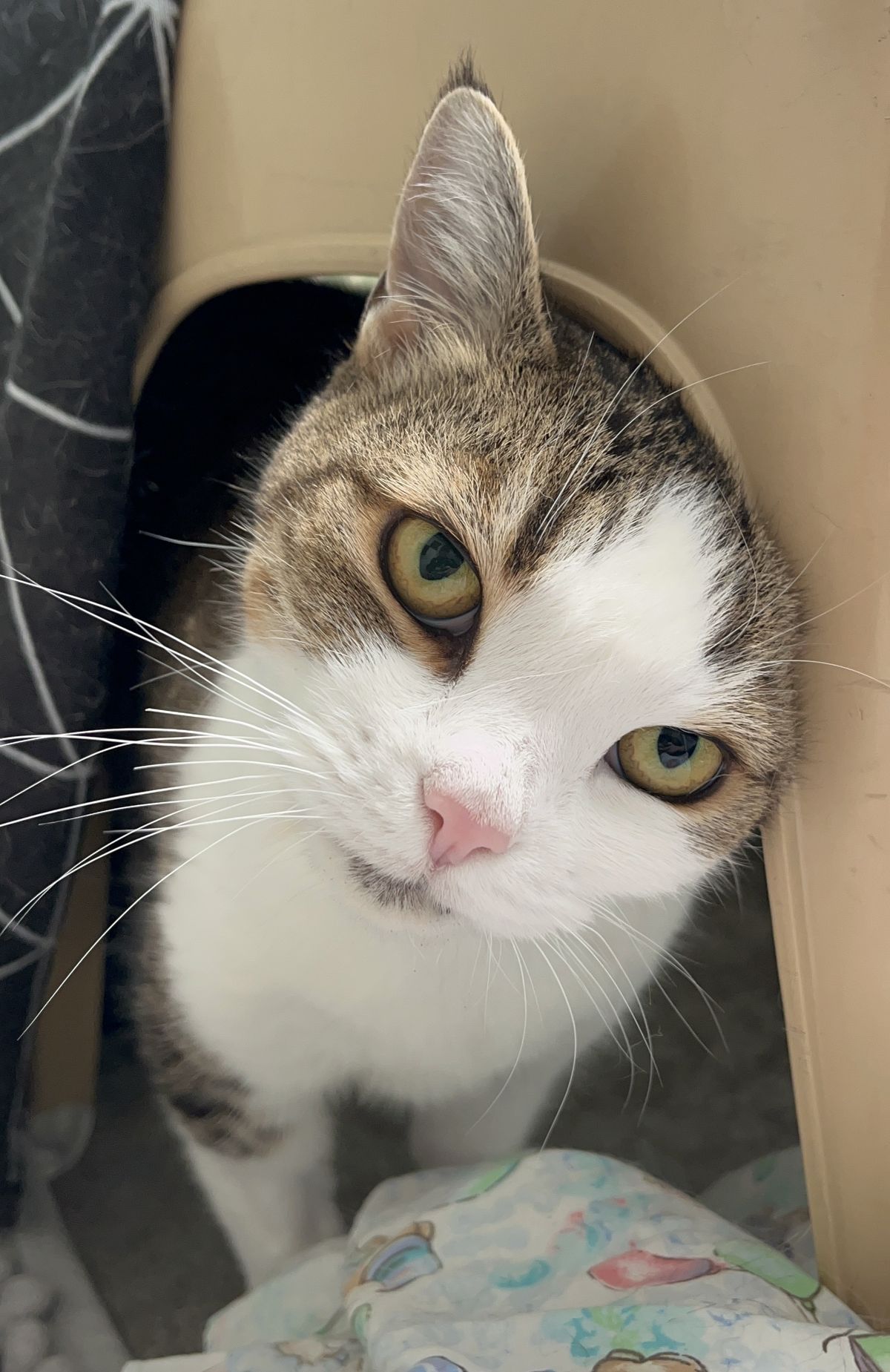 Gallery image: Aunt Lil