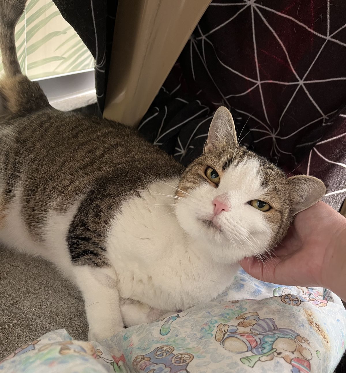 Gallery image: Aunt Lil