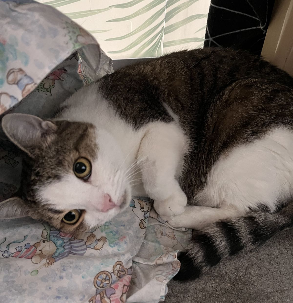 Gallery image: Aunt Lil