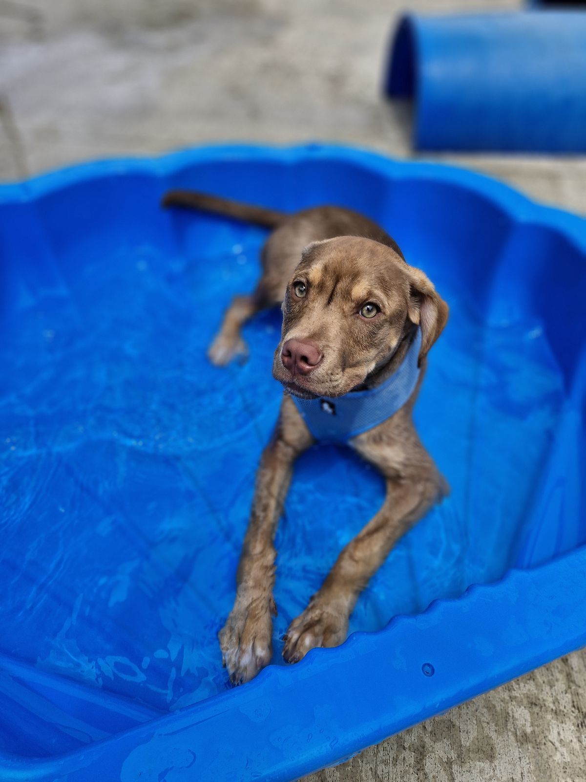 Gallery image: Frodo