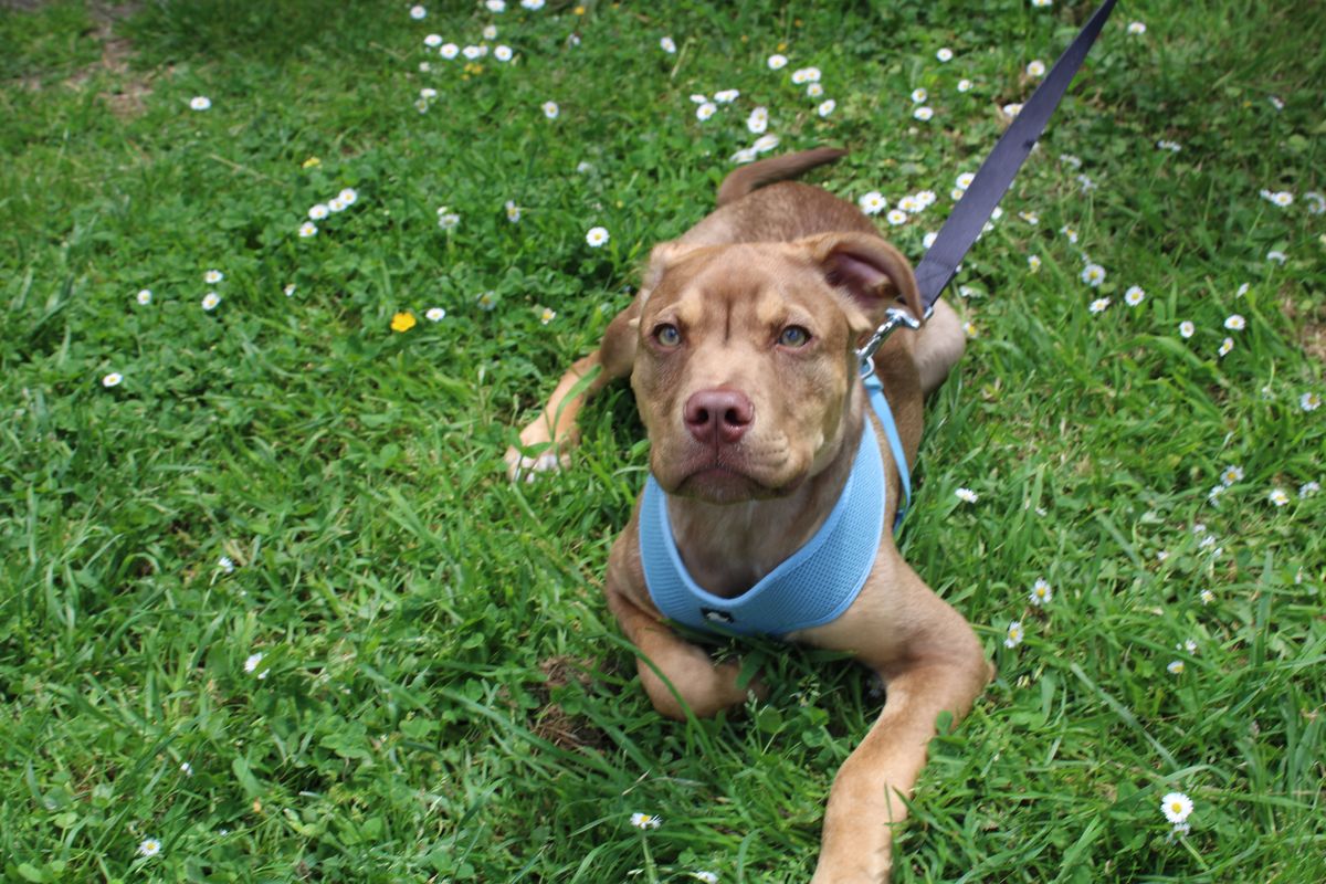 Gallery image: Frodo